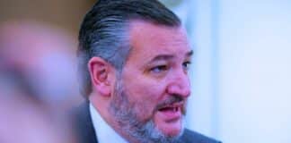 Ted Cruz Endorses Chip Roy in Texas AG Battle Ted Cruz