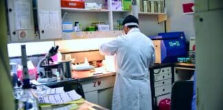 Boston U. Hospital Glossary Rejects Biology in Defining Sex