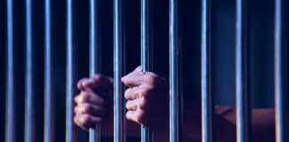 ICE Nabs Illegal Scumbags, Noem Says ‘Self-Deport or Else’