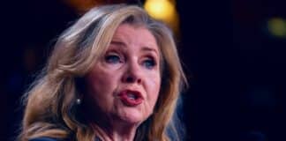 Senator Demands Answers After AI Fabricates Criminal Conduct