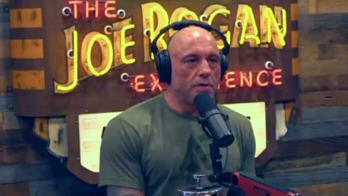 joe rogan