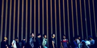 Savani Brothers Dental Fraud Scheme Busted in Federal Court