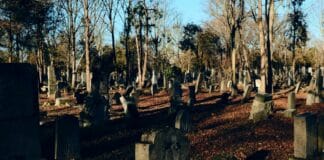 Phil Campbell Motörhead Death Stuns Rock Fans