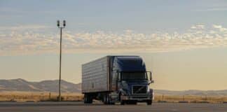 Millions Sign Petition Demanding Release of Migrant Accused of Fatal Crash truck