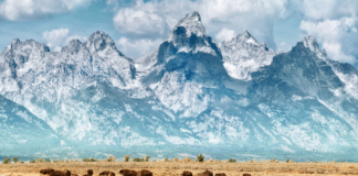 Park Access Shake-Up: Trump’s New Free-Entry Calendar Sparks Debate