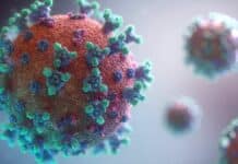 Document Exposes Possible Mass Immunity to COVID by May 2020 virus