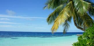 U.S. Raises Travel Advisory for Grenada Over Violent Crime