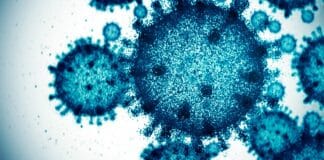 Dr. Birx: Simple Tests Could Have Stopped Hantavirus Panic Before It Started