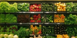 SNAP Fraud Bombshell, $10K EBT Cards Exposed