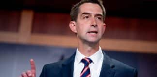Cotton Calls on DOJ to Probe Chinese Campaign to Sabotage U.S. AI
