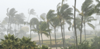 Hurricane Melissa Death Toll Surges as Jamaica Calls for Aid