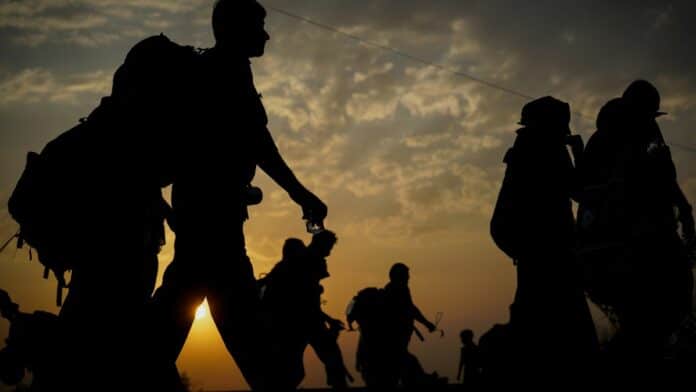 Migrants
