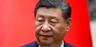 Soybeans Grab Spotlight as President Trump and President Xi Meet China