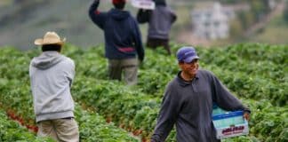 Moreno Blasts Biden, ‘Immigration Killing Working Class’