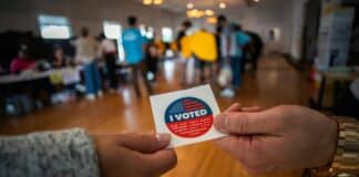 Blue State’s Voter ID Effort Clears Signatures NYC non-citizen voting