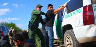 CBP Officer Fires Weapon During Road Rage Near JFK Airport border patrol