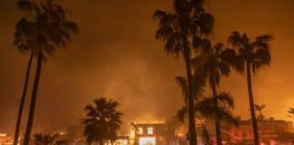 Trump Goes After Los Angeles Banks Amid Wildfire Rebuilding