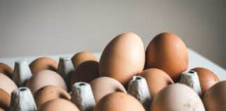 DOJ Charges Major Egg Producers With Price Rigging
