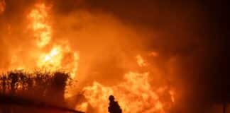 Wrongful Death Lawsuits Filed Against California City