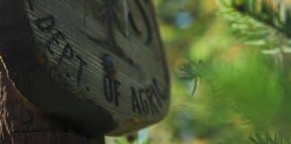 SNAP Suspension Taken Down by Judges USDA