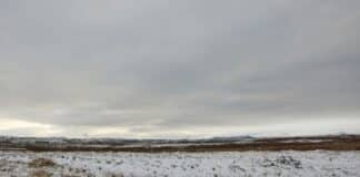 U.S. Winter Storm Deaths Hit 18 as Power Grid Collapses