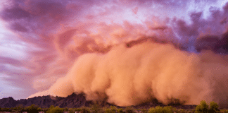 Burning Man Ravaged by Dust Storm as Weather Threatens Weeklong Festival dust
