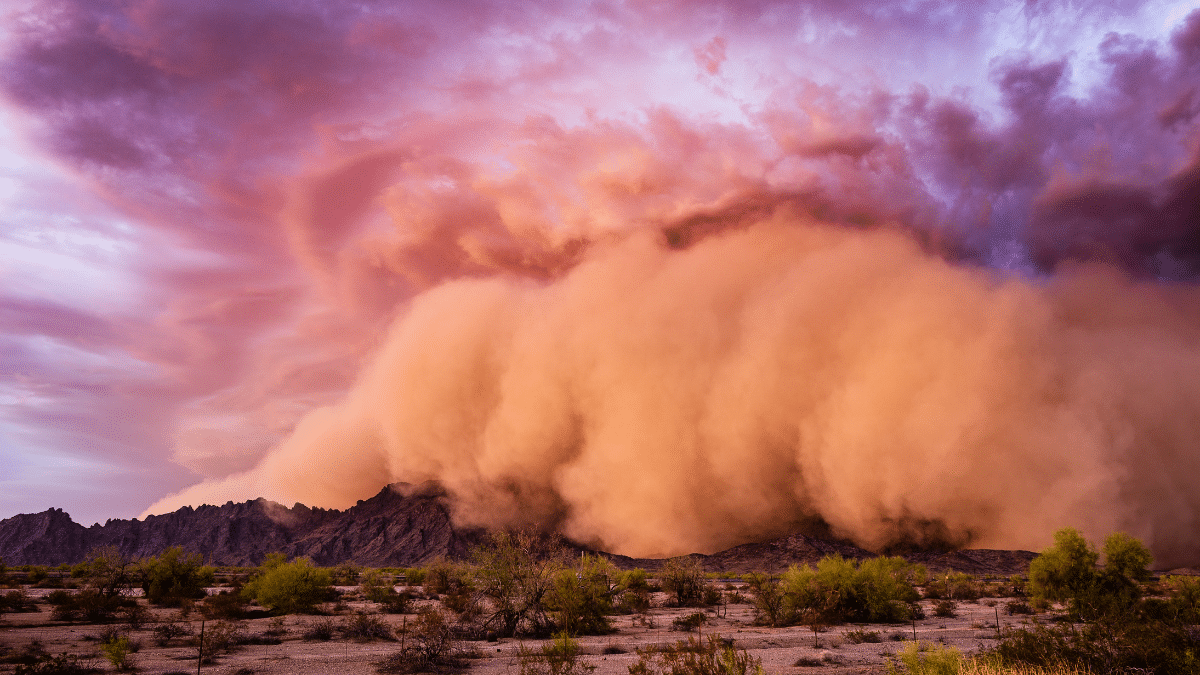 dust