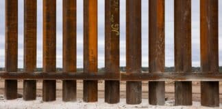 Border Failure Sparks Unprecedented Patriot Surge to Join USCIS deported