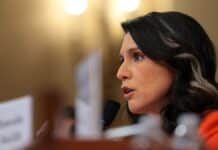 Gabbard Drops Docs on Trump Impeachment Plot Gabbard
