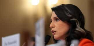 Gabbard Terminates Dozens of Security Clearances Gabbard