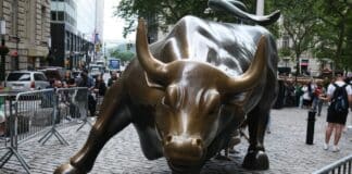 America Onchain: The Rib-Crushing Hug Before the Bull Run