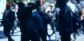 Professor Jonathan Turley Slams ‘Antifa Deniers’ as Intellectual Evasion