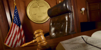 Michigan Court Rejects Habeas Corpus for Chimpanzees, Says Zoo Detention Must Stand