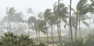 El Número De Muertos Por El Huracán Melissa Aumenta Mientras Jamaica Pide Ayuda