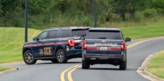 Trump’s ICE Nabs Bruna Ferreira