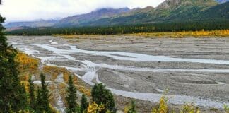 Arctic Breakthrough Discovery Threatens China’s Grip on Critical Minerals