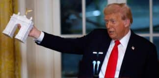 Trump Stuns Koepka and Gretzky with Jaw-Dropping Viral Golf Chip Shot