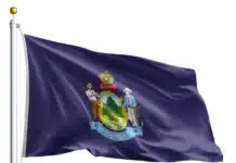 Felony Charge Sparks Maine Resignation After Days in Office