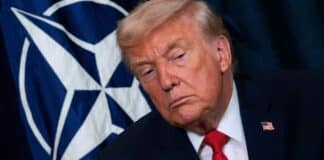 Greenland Deal with ‘Total Access’ in the Works