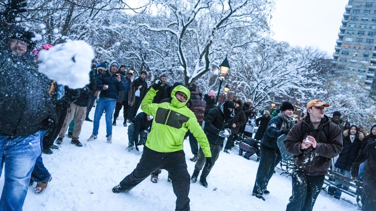 NYC Snowball Fight