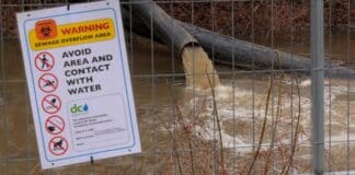 Bowser Appeals to Trump in Sewage Spill Action