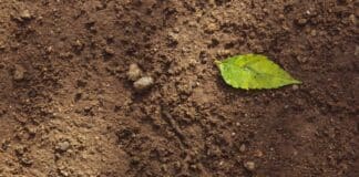 Red State Advances Human Fertilizer Proposal