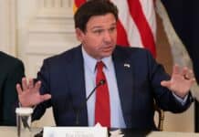 DeSantis Signs New Congressional Map