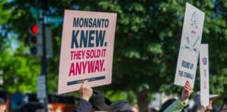 SCOTUS Sides with Monsanto