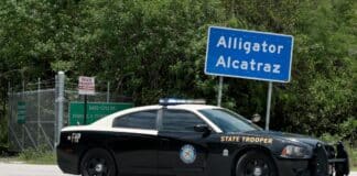 ICE Transfers Alligator Alcatraz Detainees