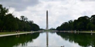 ’86 47′ Found Near Reflecting Pool