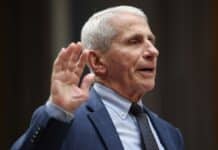 New Fauci Docs Show Concern Over Ebola Experiment